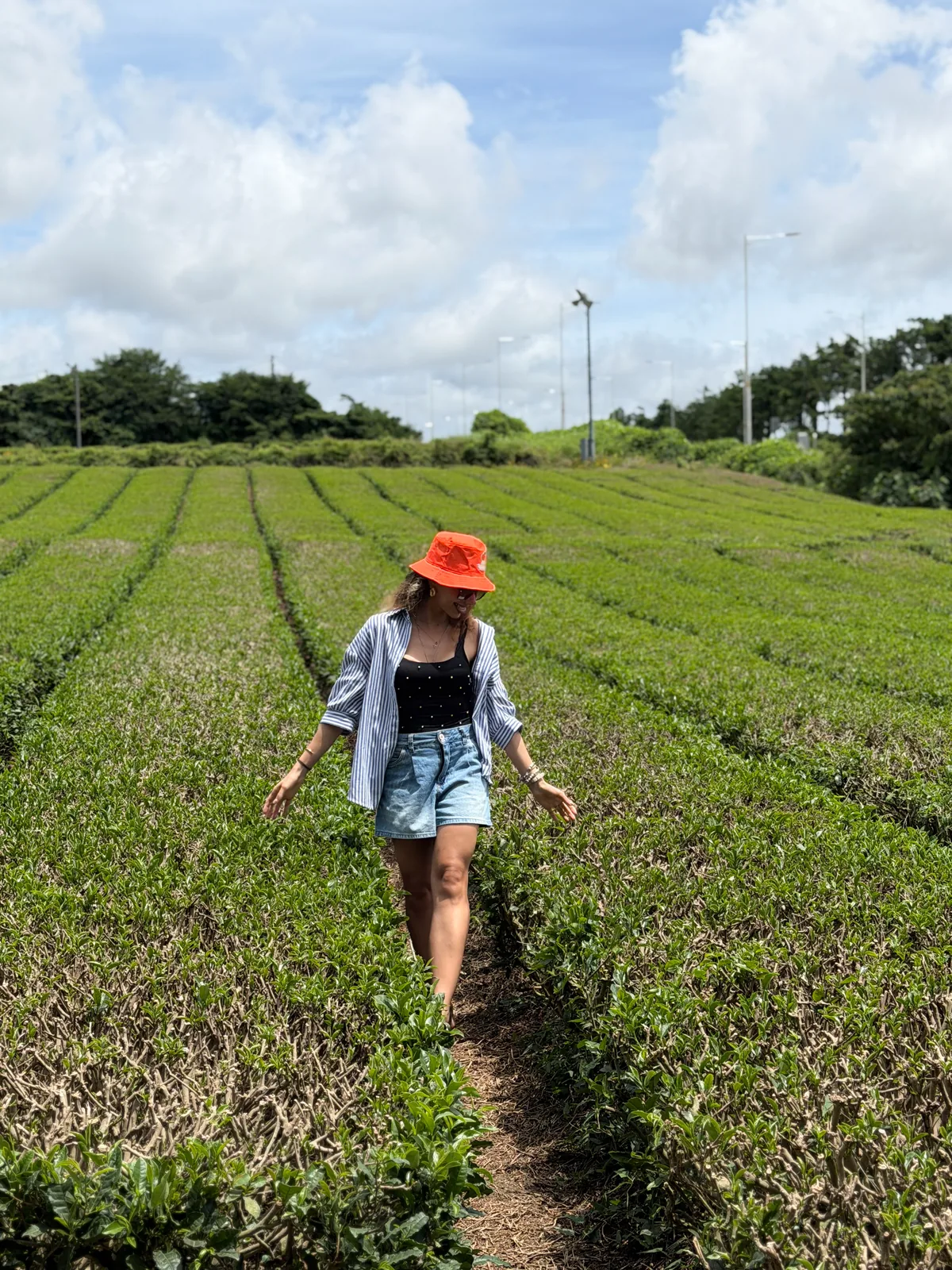 Larys Marques caminhando entre plantações de chá verde na Ilha de Jeju