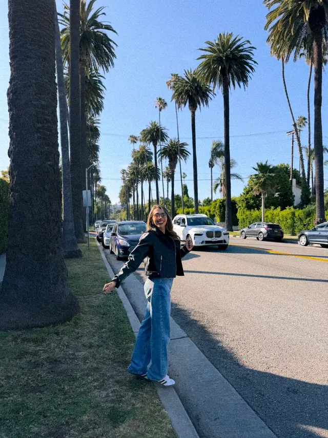 Preset Beverly Hills aplicado em foto de avenida com palmeiras